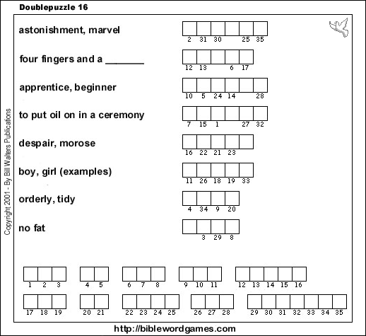 double puzzle 16