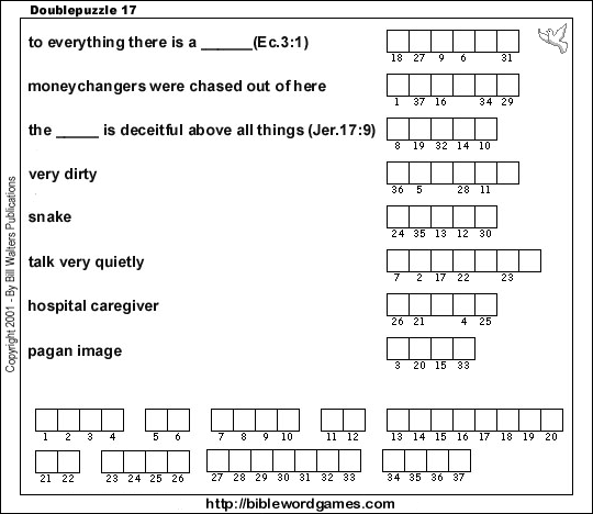 double puzzle 17